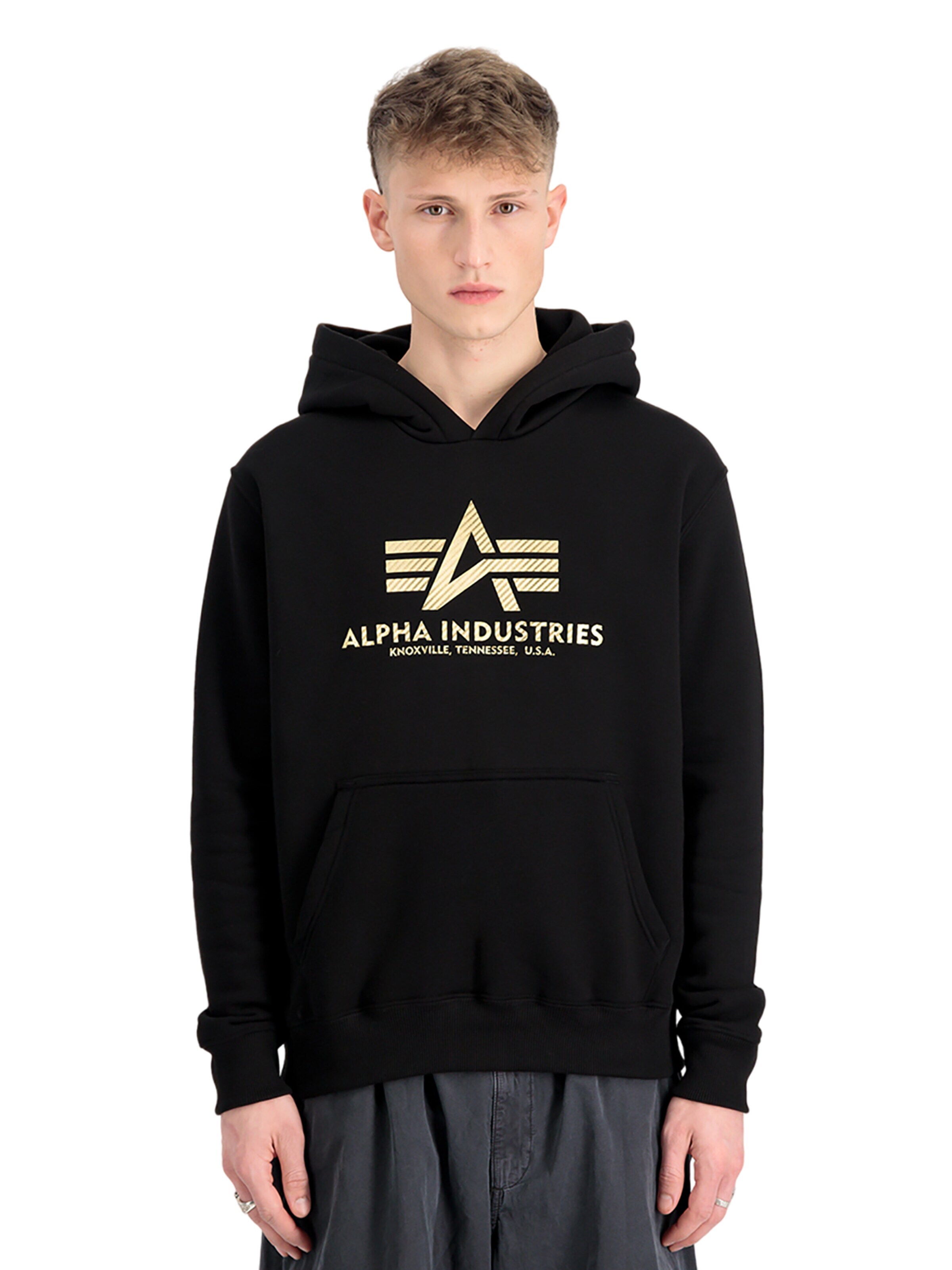 ALPHA INDUSTRIES Sweatshirt 'Carbon' in Schwarz: Vorderseite
