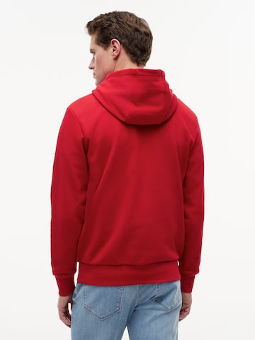 TOMMY HILFIGER Collegepaita 'SCRIPT' värissä punainen