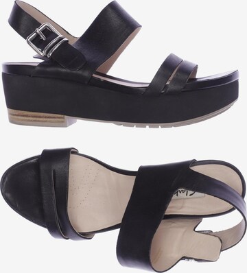 CLARKS Sandals & High-Heeled Sandals in 41 in Black: front