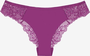 TRIUMPH Slip in Purple: front