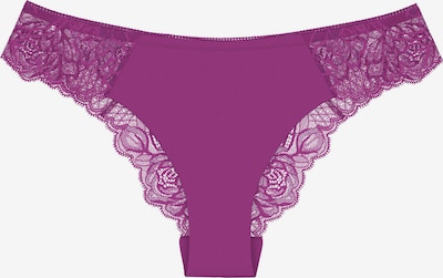 TRIUMPH Brasilslip ' Wild Peony Florale ' in S in lila, Produktansicht
