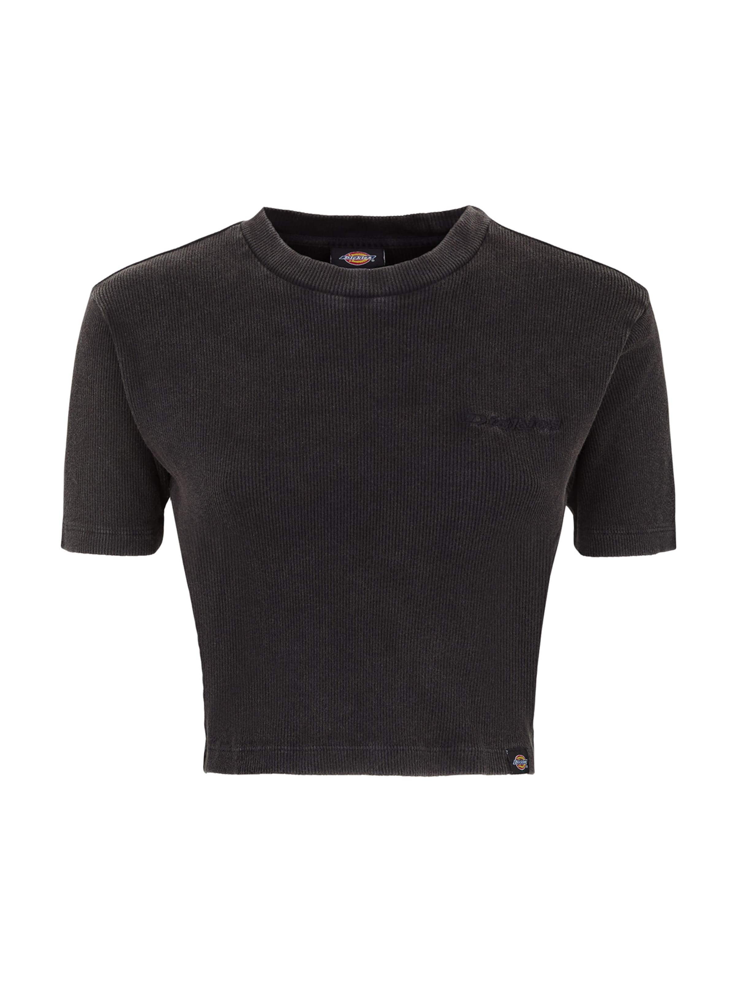 DICKIES T-Shirt 'Plentywood' in Schwarz: Vorderseite