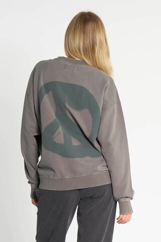 Zhrill Sweatshirt in Grau: Vorderseite