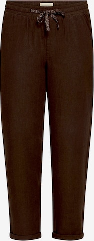 Loosefit Pantalon Cartoon en marron : devant