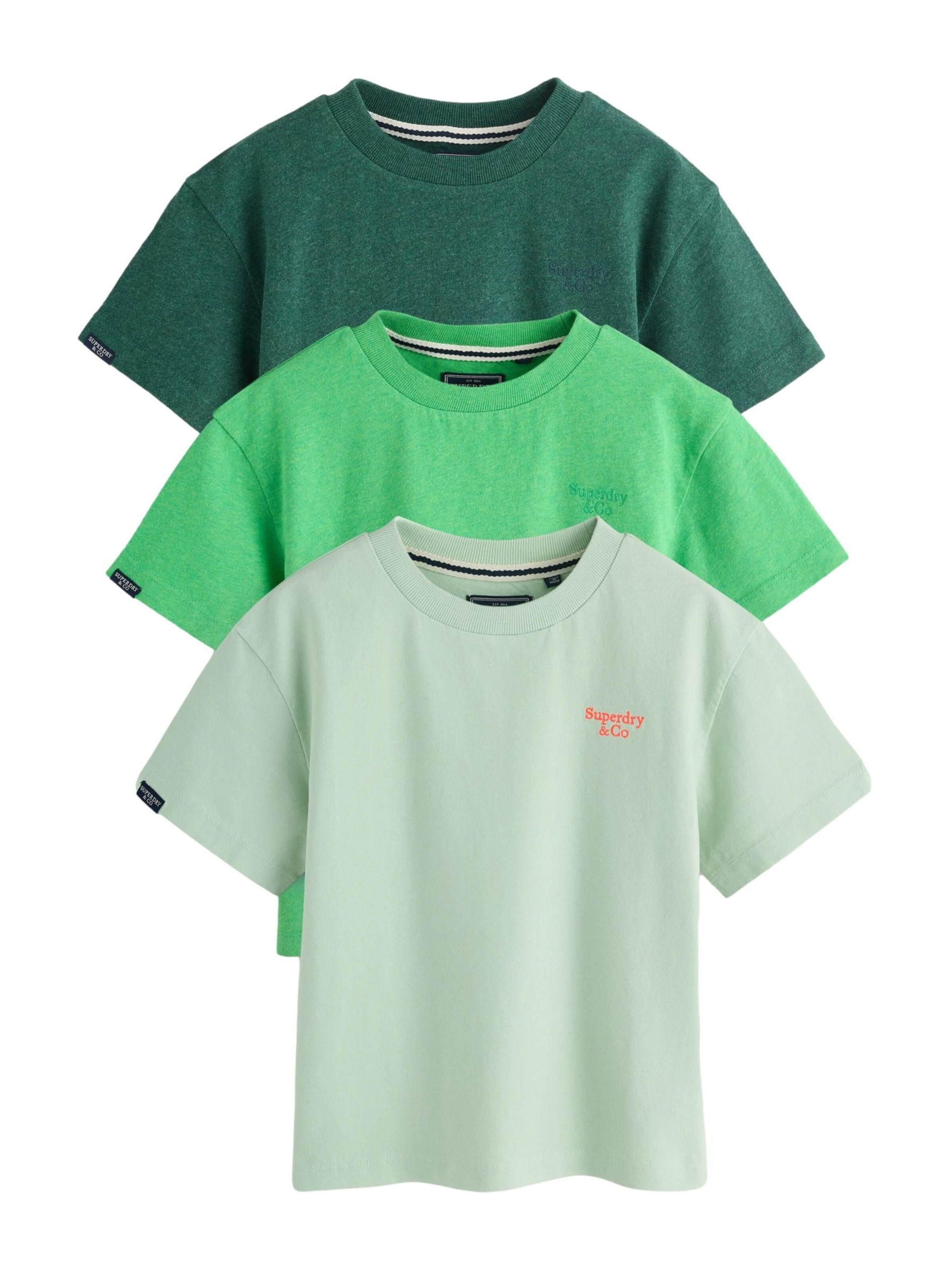 Superdry & Co T-Shirt in Grün: Vorderseite