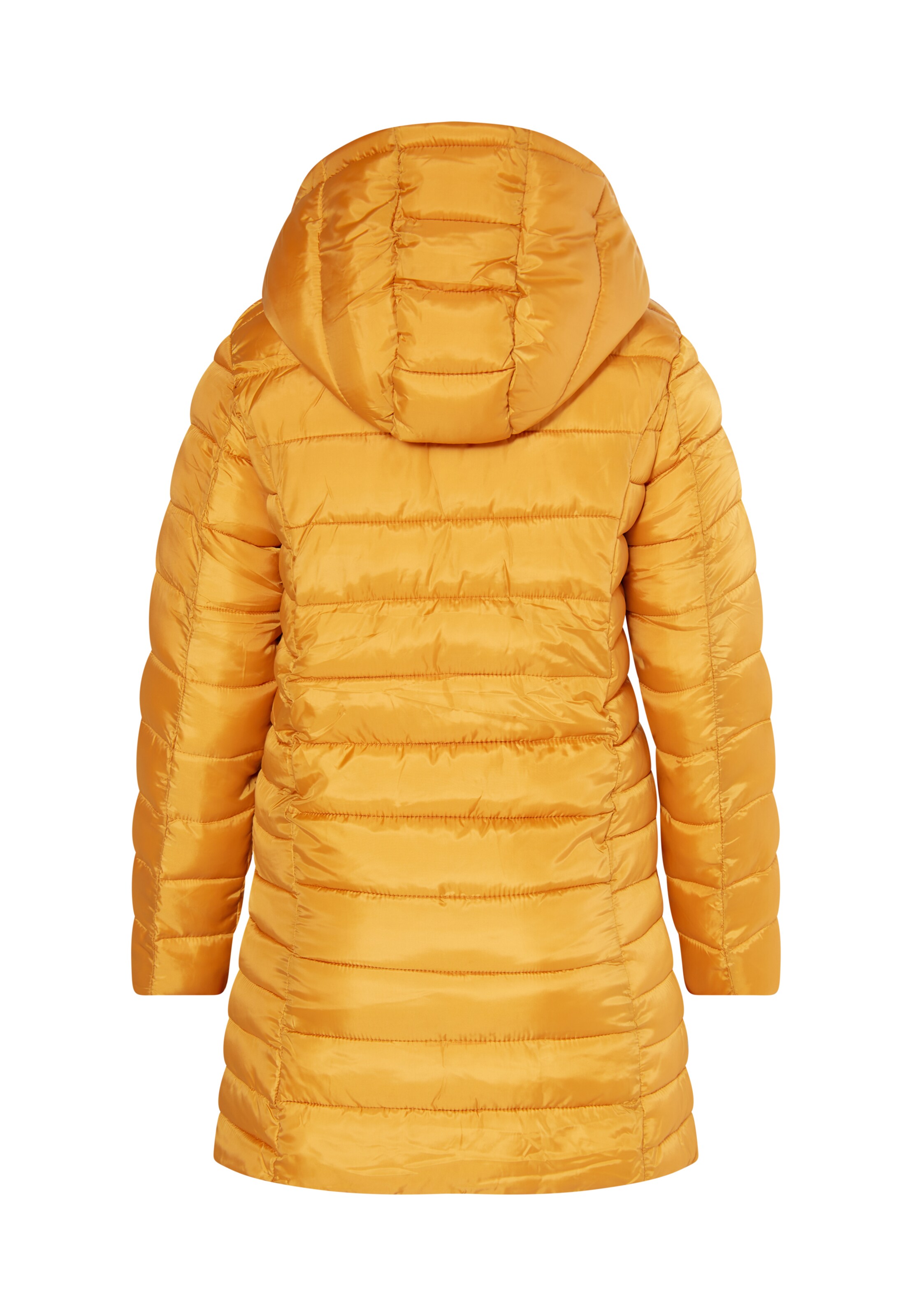 Giacca invernale 'Fenia' di usha BLUE LABEL in giallo