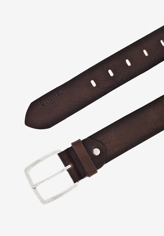 Ceinture MUSTANG en marron