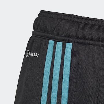 ADIDAS PERFORMANCE Regular Sporthose 'Tiro 23 Club ' in Schwarz