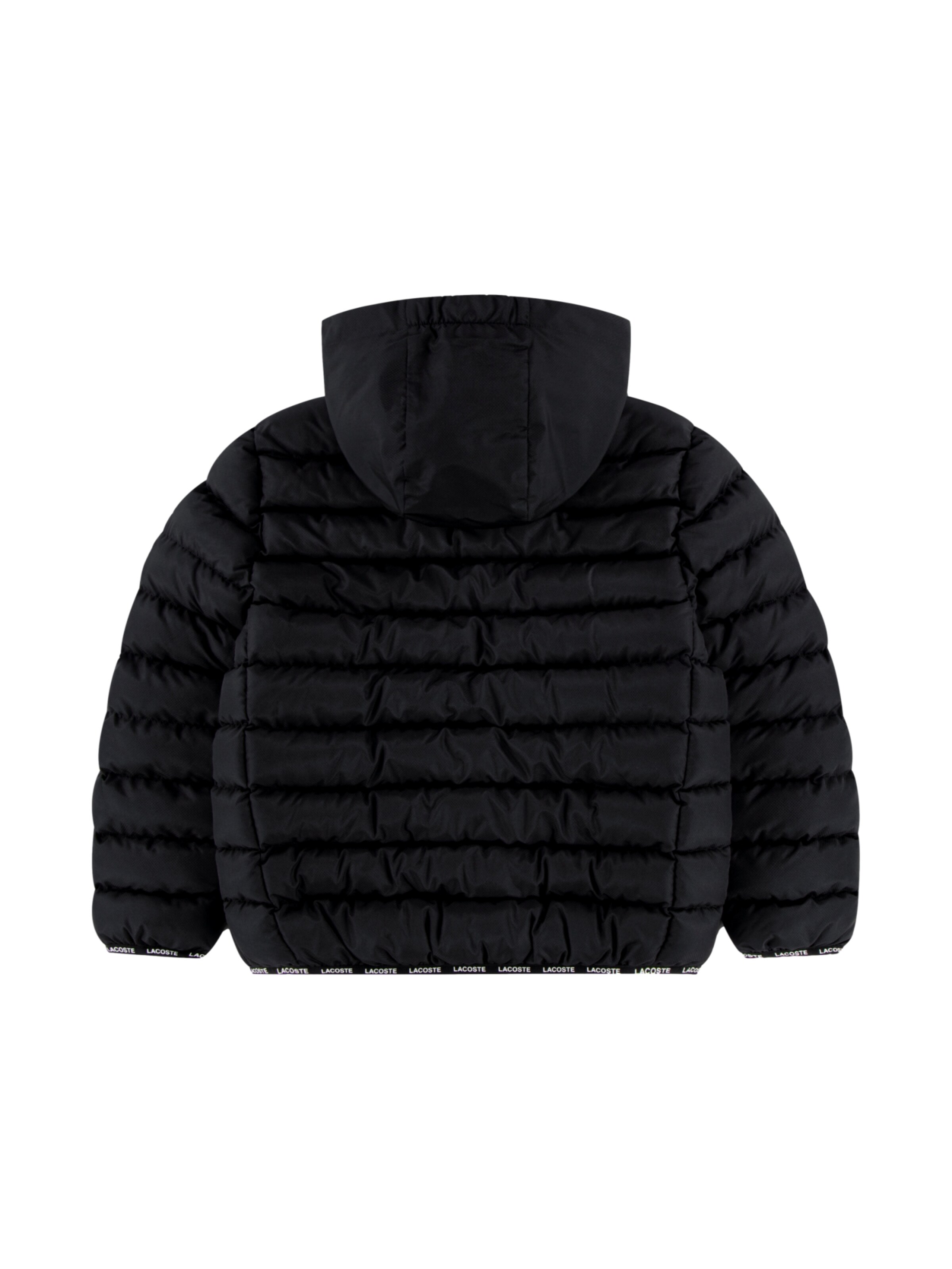 Giacca invernale di LACOSTE in nero