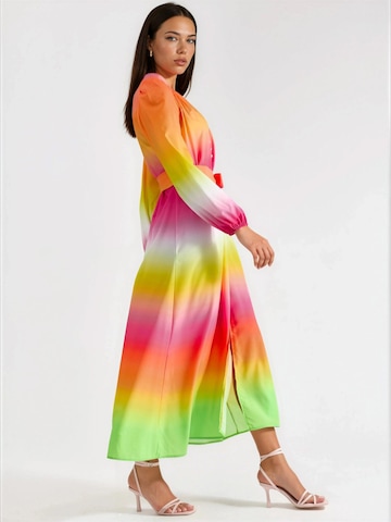 MSN Collection Obleka 'Maxi' | oranžna barva