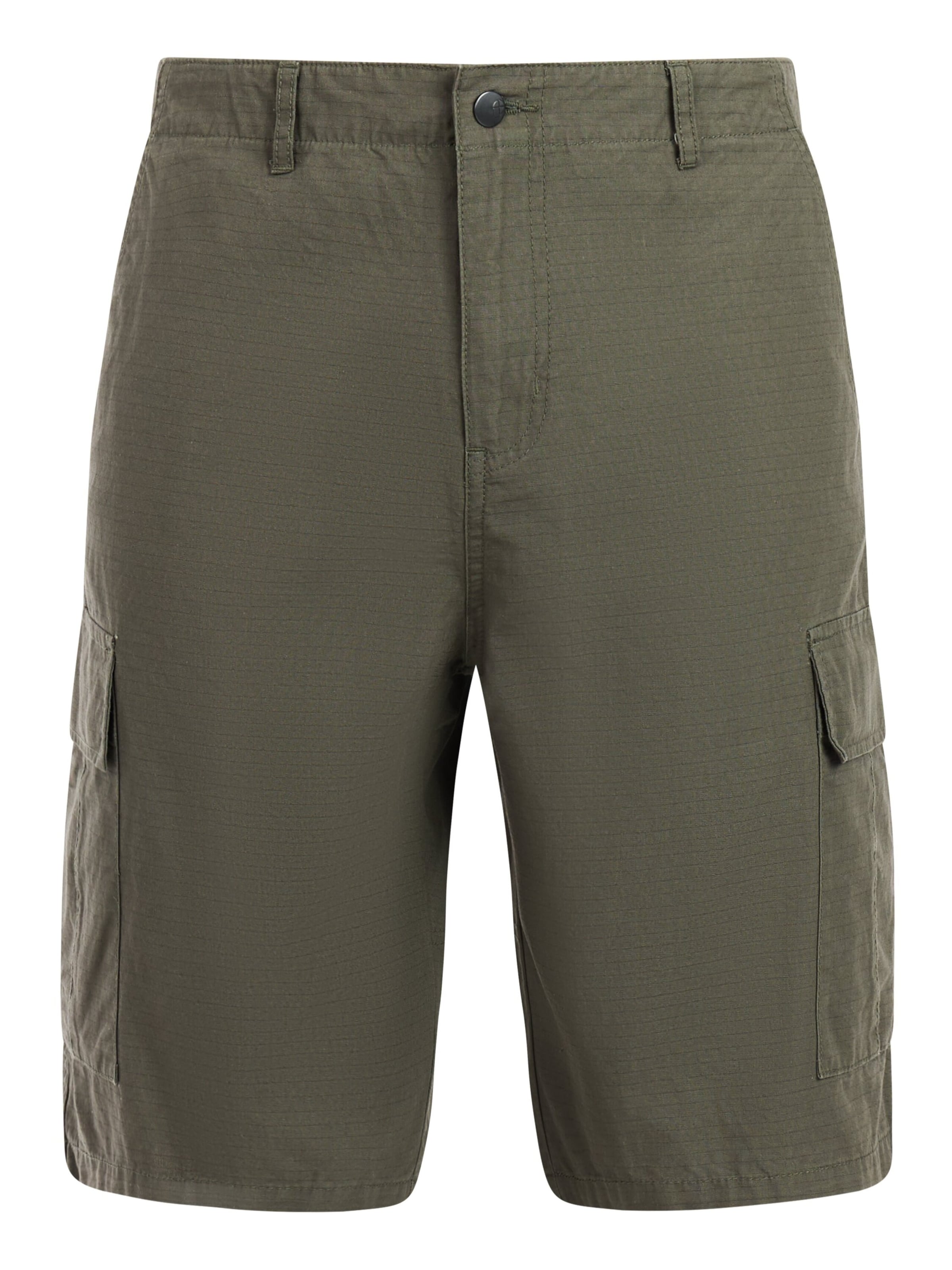 PROTEST Pants 'PRTHuub' in Green: front