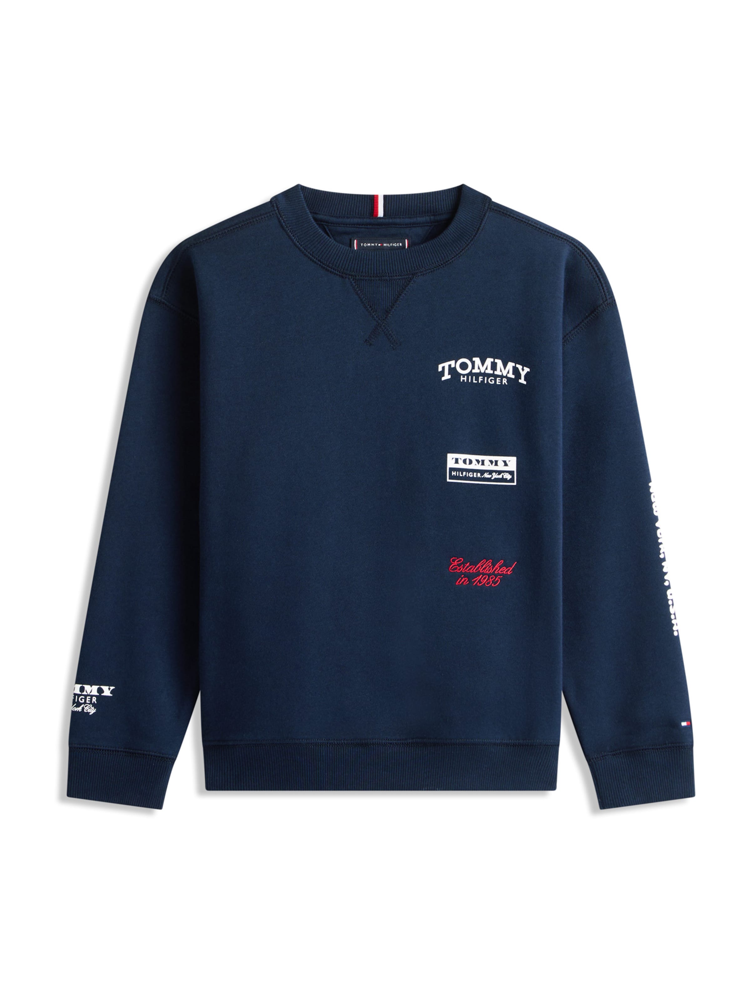 Felpa di TOMMY HILFIGER in blu: frontale
