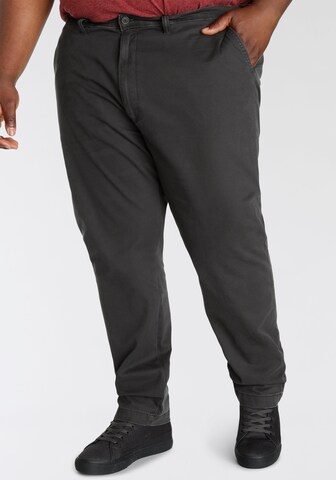 Levi's® Big & Tall Regular Chinohose 'XX STD Tapered Chino ' in Schwarz
