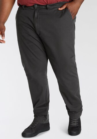 Levi's® Big & Tall Tapered Chinohose 'XX STD Tapered Chino B&T' in Schwarz