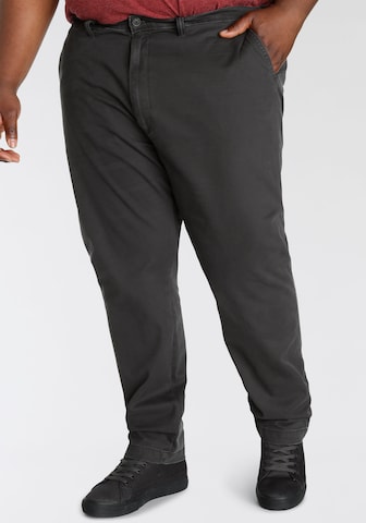 Levi's® Big & Tall Tapered Chino Pants 'XX STD Tapered Chino B&T' in Black