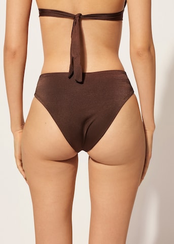 CALZEDONIA Bikini Bottoms in Brown