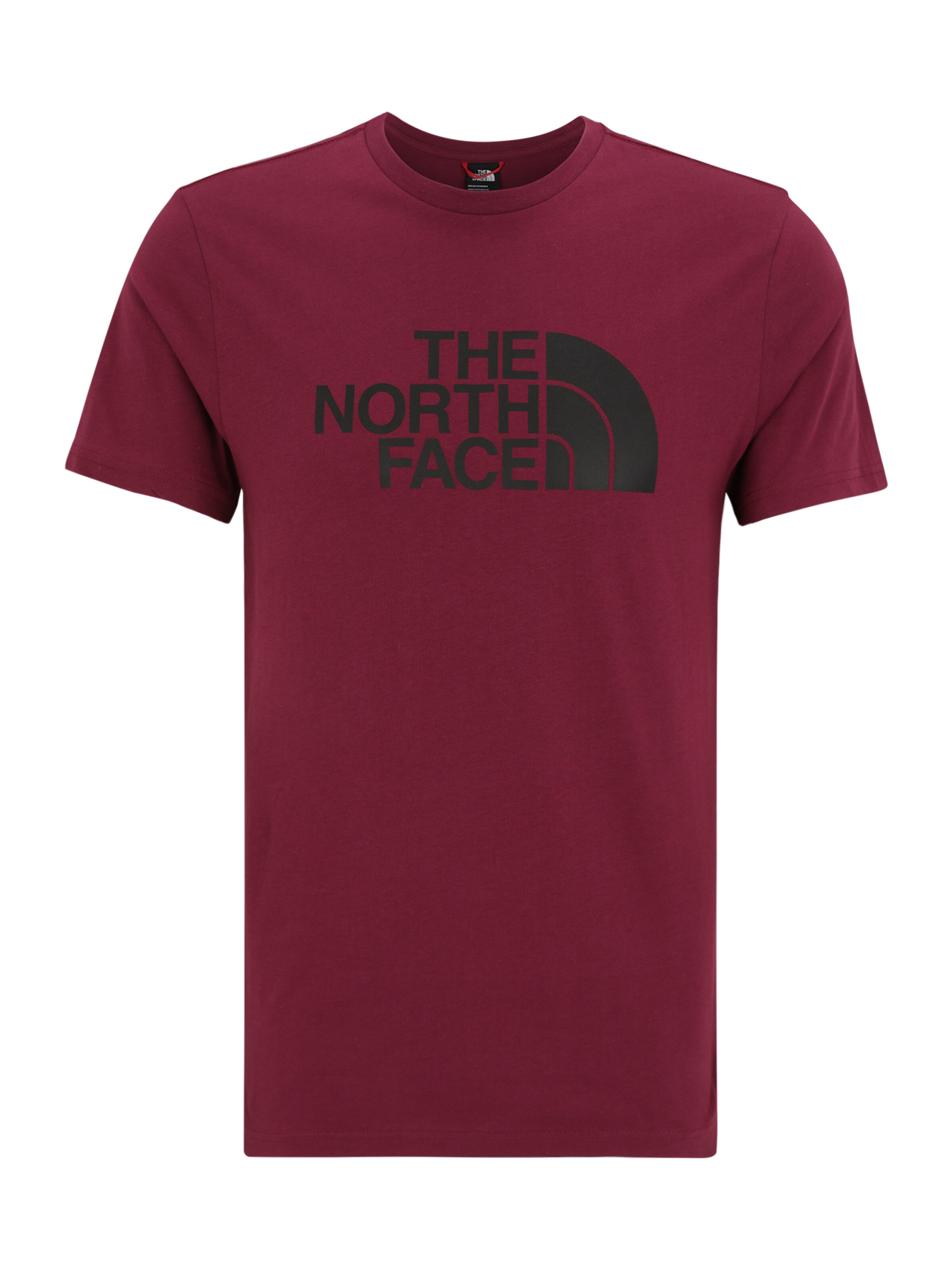 THE NORTH FACE T-Shirt 'Easy' en baie / noir, Vue avec produit