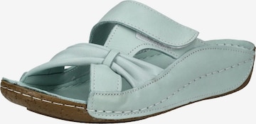 ANDREA CONTI Muiltjes in Groen: voorkant