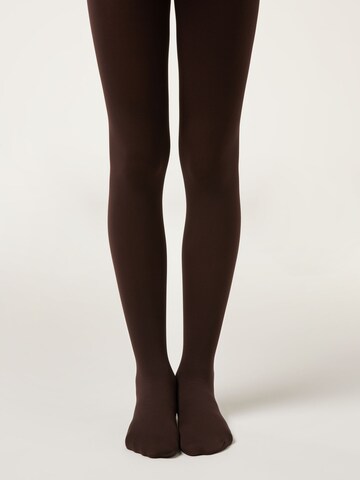 CALZEDONIA Tights in Brown: front