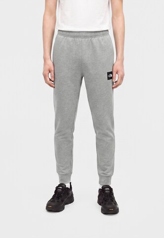 THE NORTH FACE Tapered Byxa 'EVO BOX HALF DOME' i grå: framsida