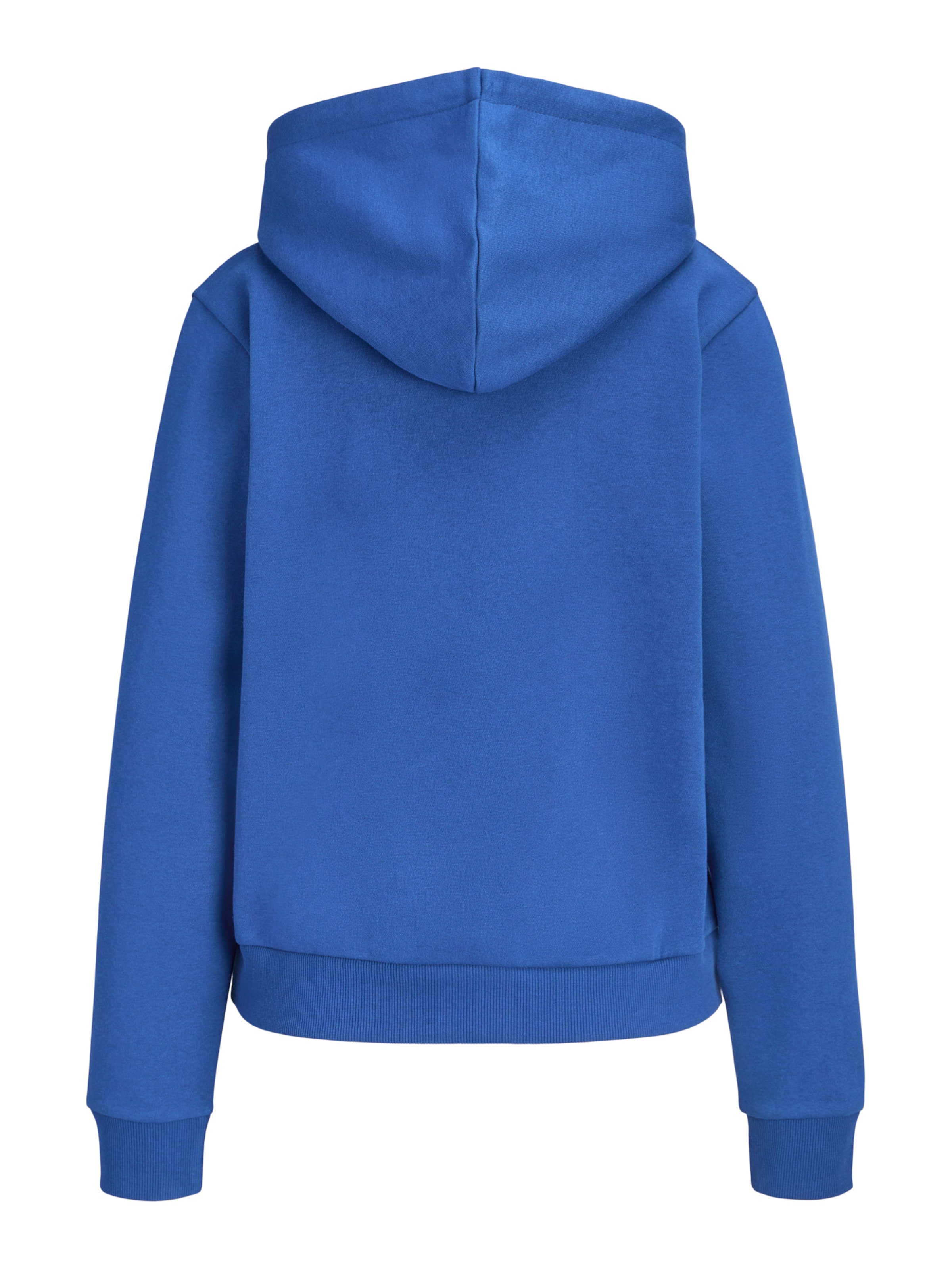 JJ Rebel Sweatshirt 'JREBWVERA' in Blau
