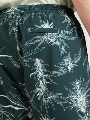Iriedaily Loose fit Trousers 'Crazy Fresh' in Green