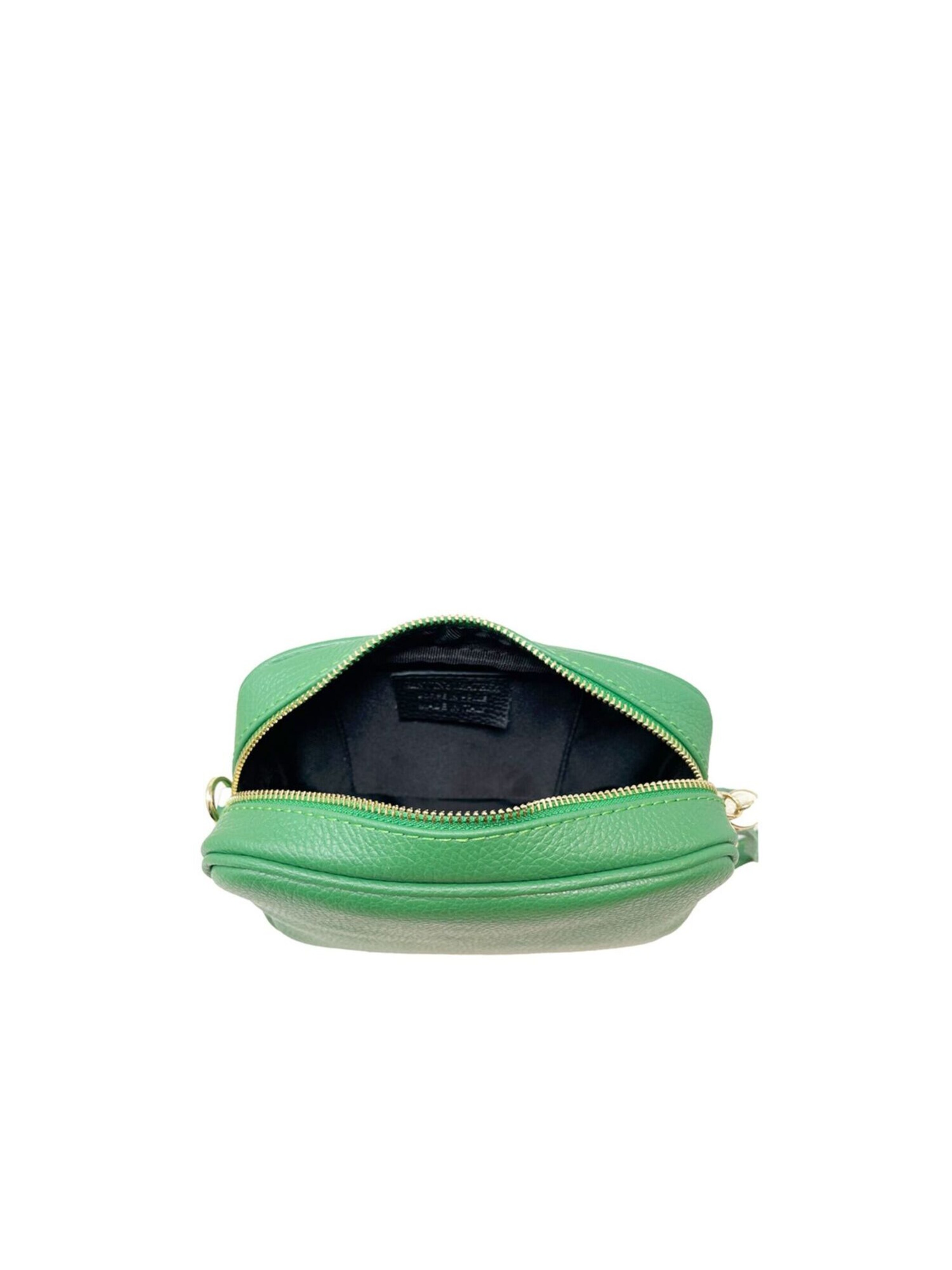 Sac à bandoulière CHICCA BORSE en vert