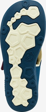 Affenzahn Sandals & Slippers 'Airy Schildkröte' in Blue