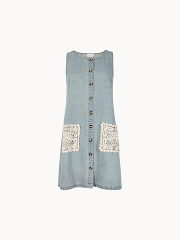 Apricot Dress in Blue