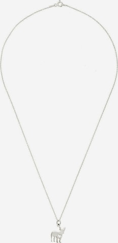 Gemshine Ketting in Zilver: voorkant