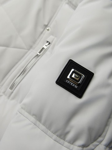 Ombre Winter Jacket 'Level Up' in Grey