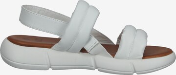 ILC Sandals in White