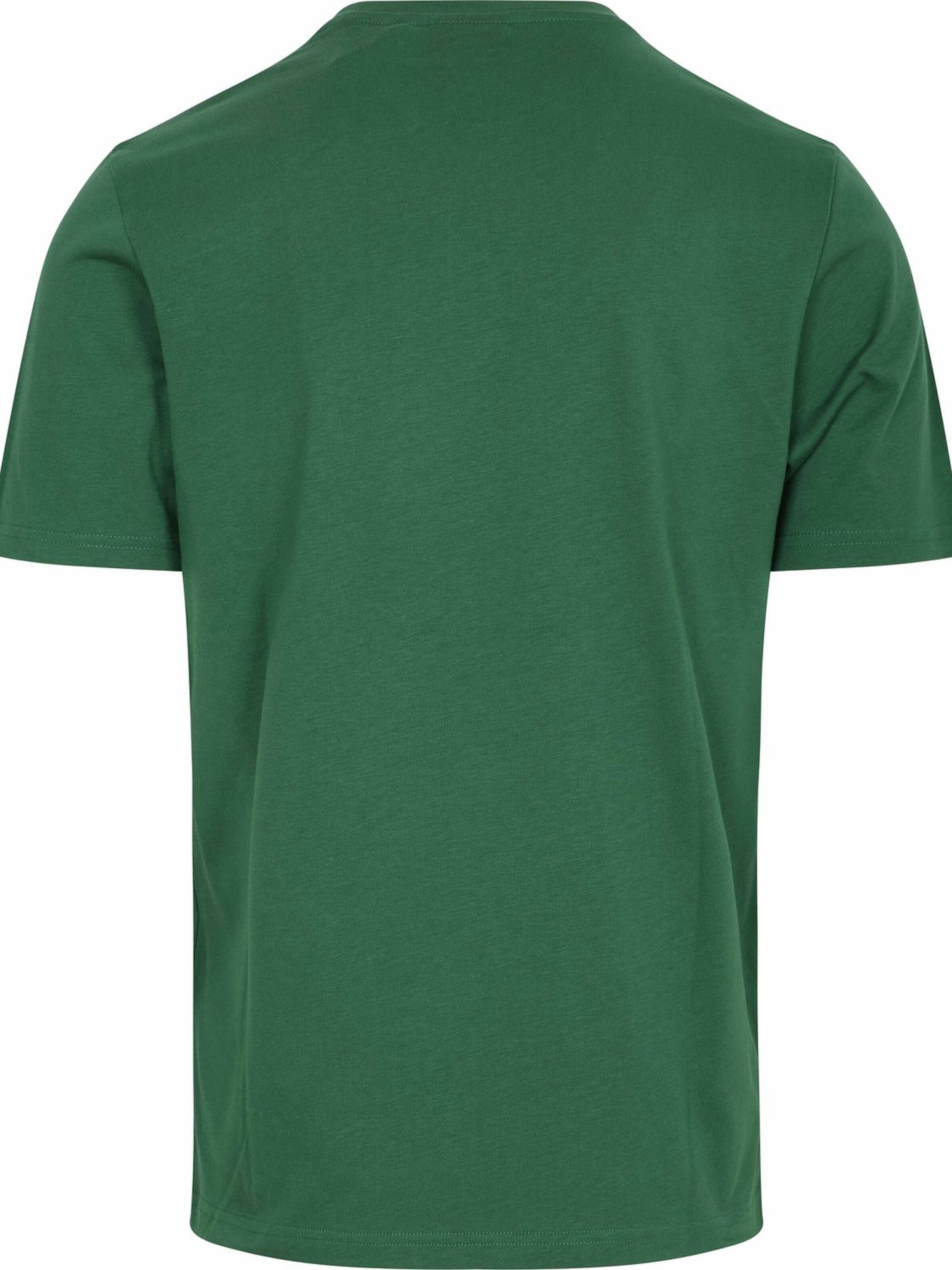 Lyle & Scott Shirt 'Essentials' in Groen