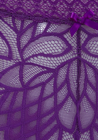LASCANA Slip in Purple