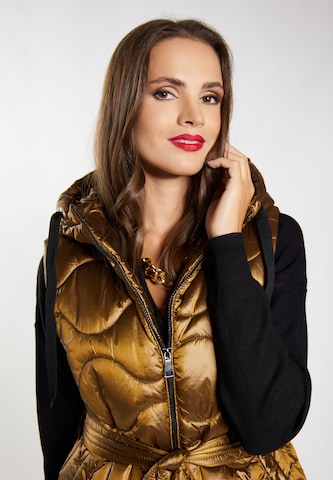 Gilet faina en marron