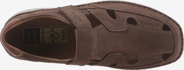 JOSEF SEIBEL Sandals 'Anvers 81' in Brown