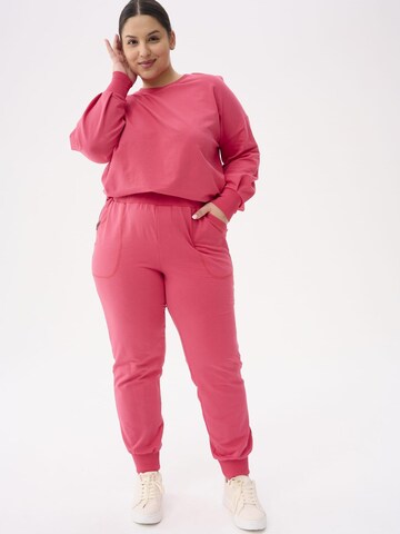 Blue Shadow Regular Pants in Pink: front