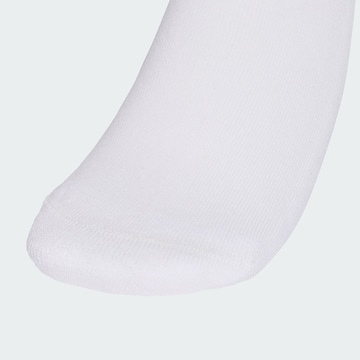 Calzino di ADIDAS ORIGINALS in bianco