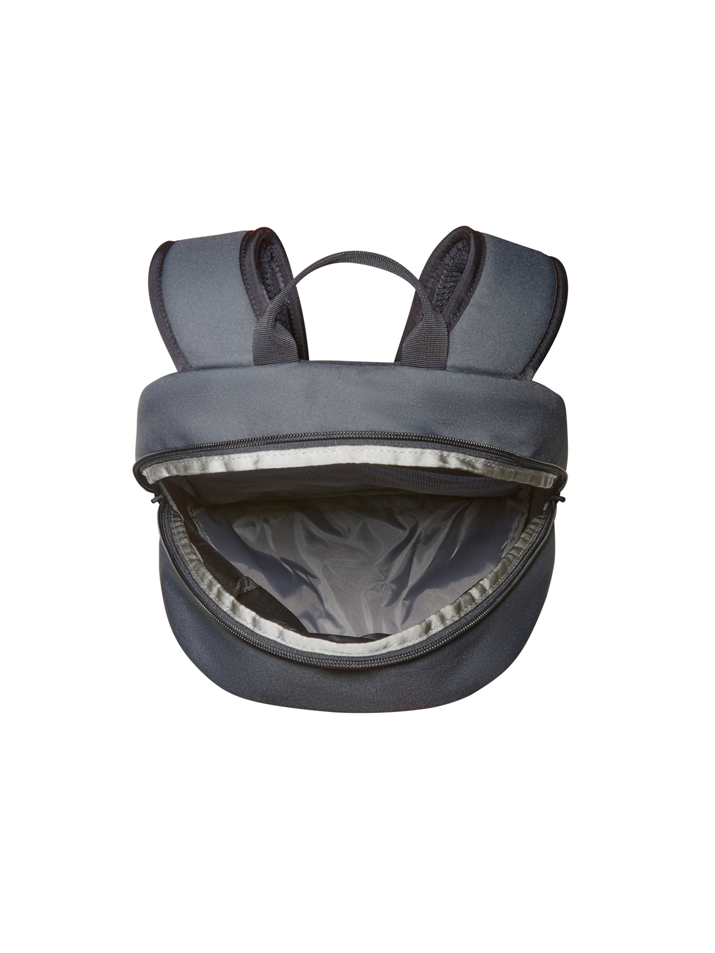 THE NORTH FACE Раница 'Y2K' в сиво