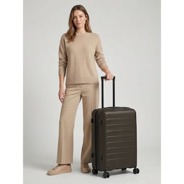 D&N Trolley in Bruin