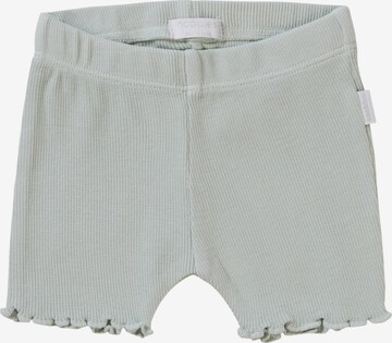 Noppies Regular Shorts 'Coachella' in Grau: predná strana