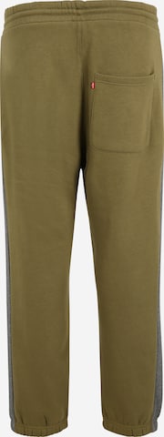 Levi's® Big & Tall Zúžený Kalhoty 'Big Varsity Jogger' – zelená