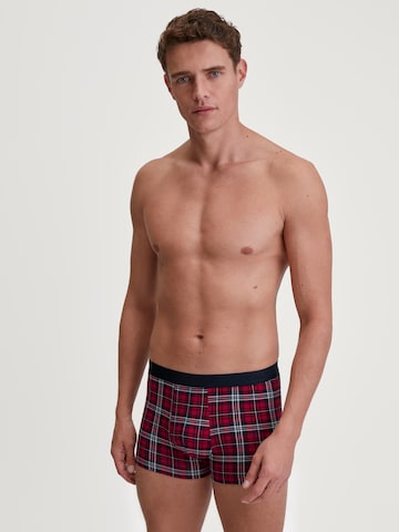 CALIDA Boxershorts 'Family & Friends' in Rood