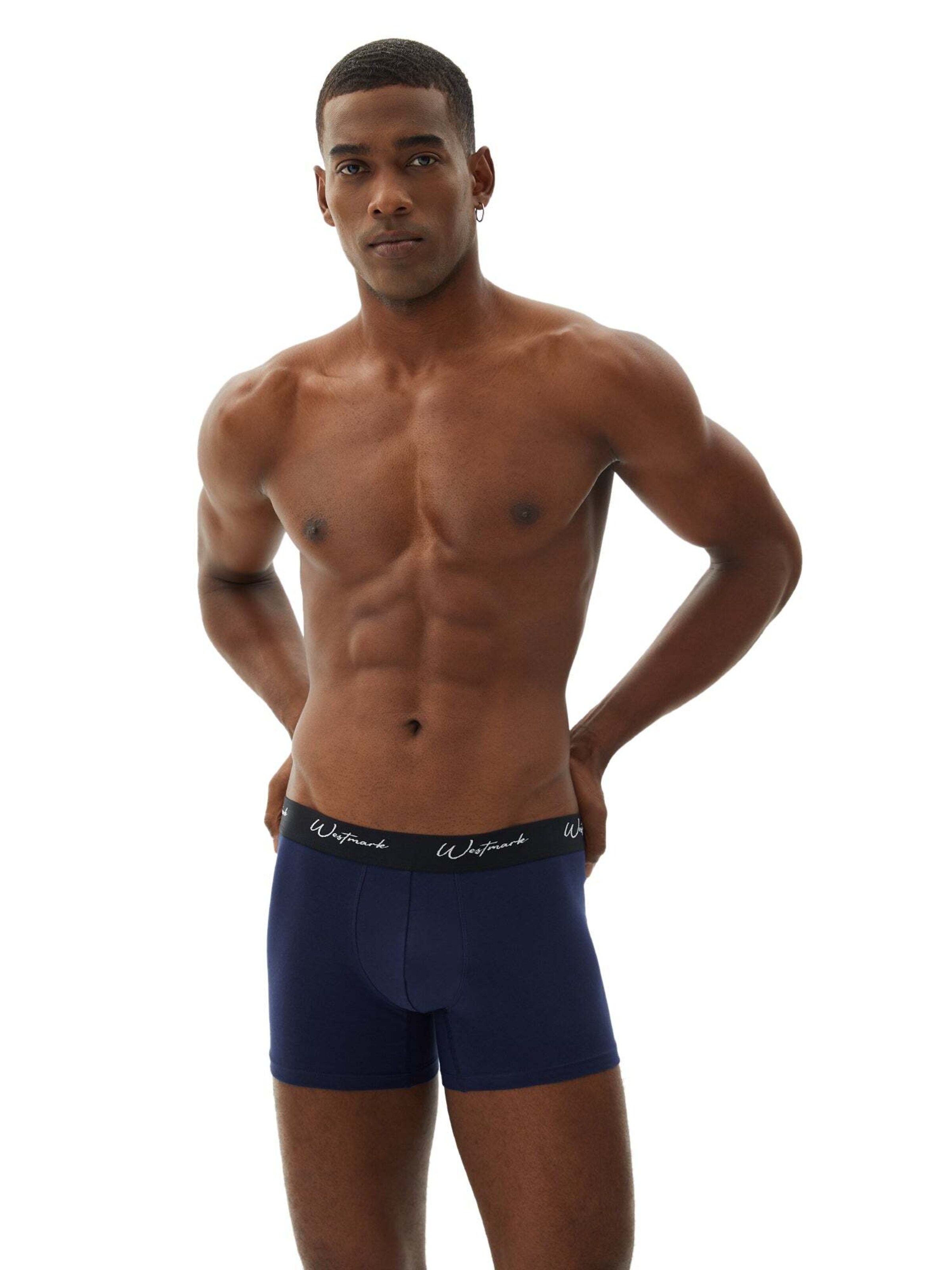 WESTMARK LONDON Boxershorts 'Lucas' in Blauw