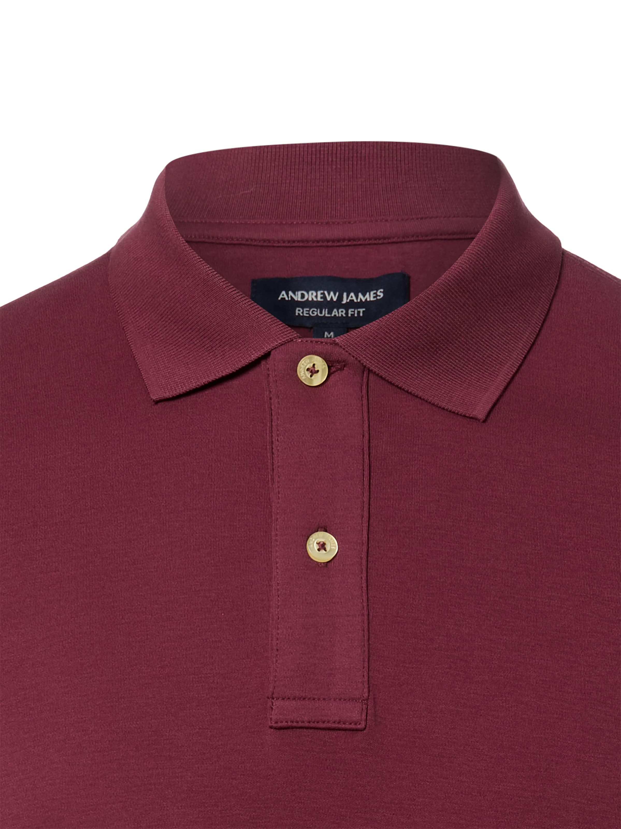 Andrew James Shirt in Red