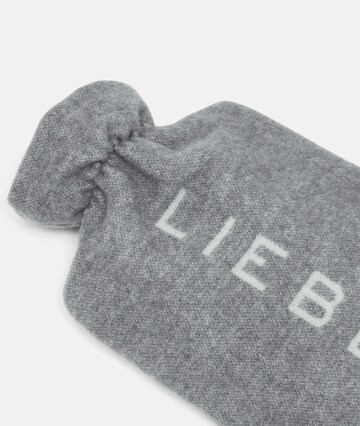 Liebeskind Berlin Hot water bottles & pillows in Grey