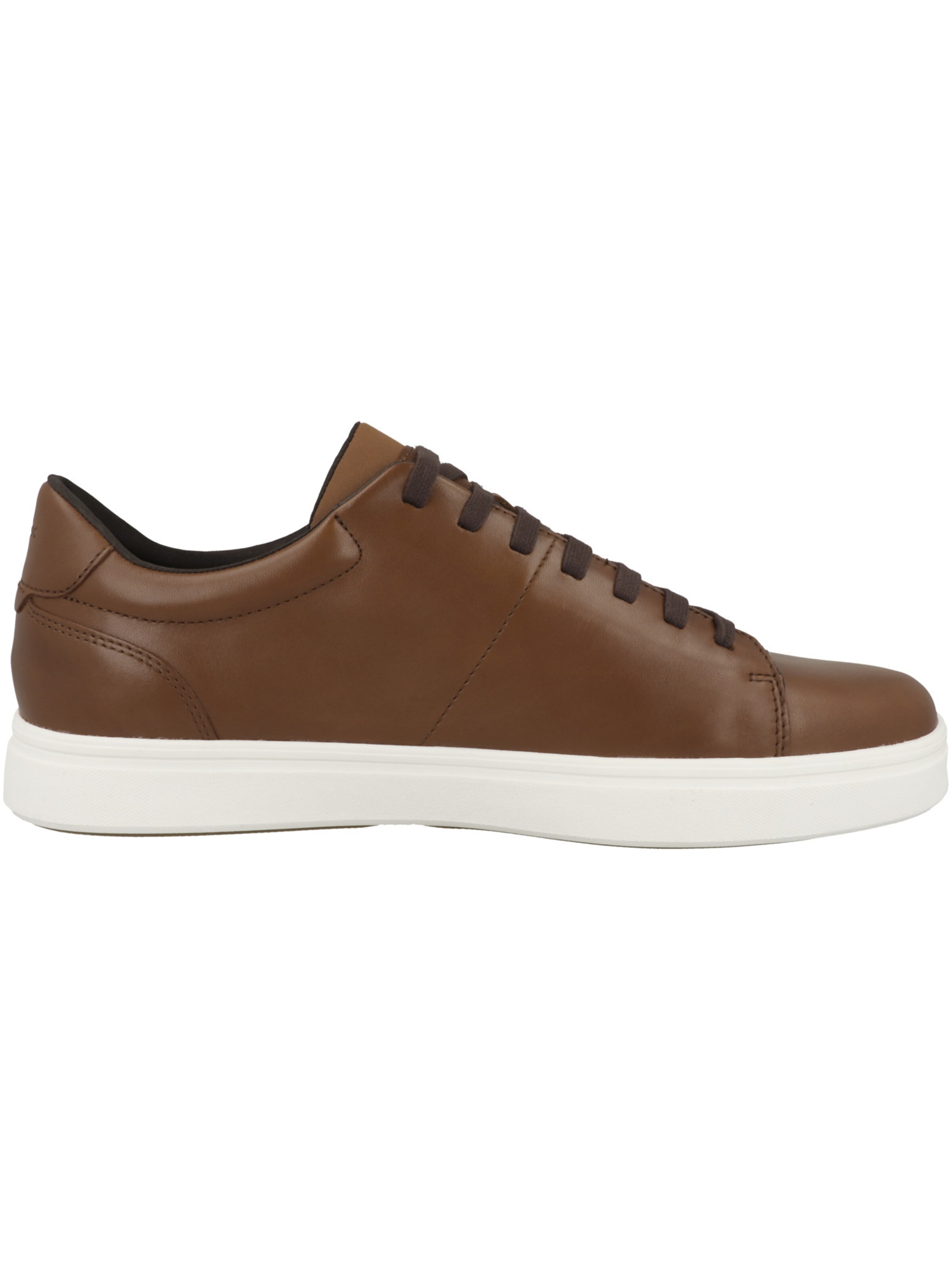 GEOX Sneaker 'Baltmoore' in Braun