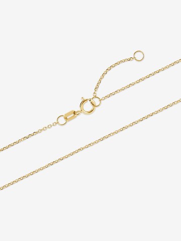 FAVS Kette in Gold