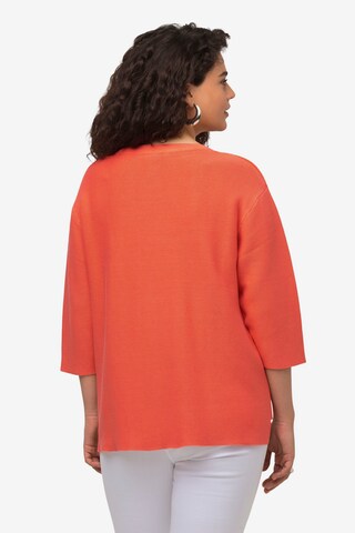 Ulla Popken Pullover in Orange