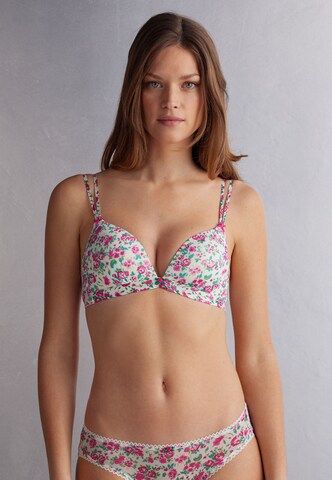 INTIMISSIMI Triangle Bra in Mixed colors: front